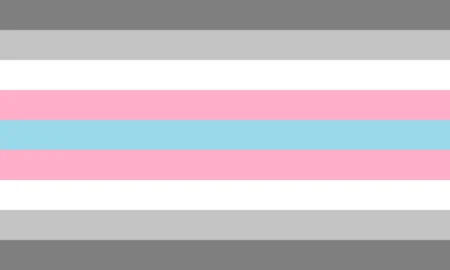 Transmasc Demigirl